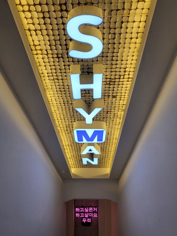 往十里 アダルトグッズ店SHYMAN 往十里店の入口通路のSHYMAN天井看板とネオンサイン